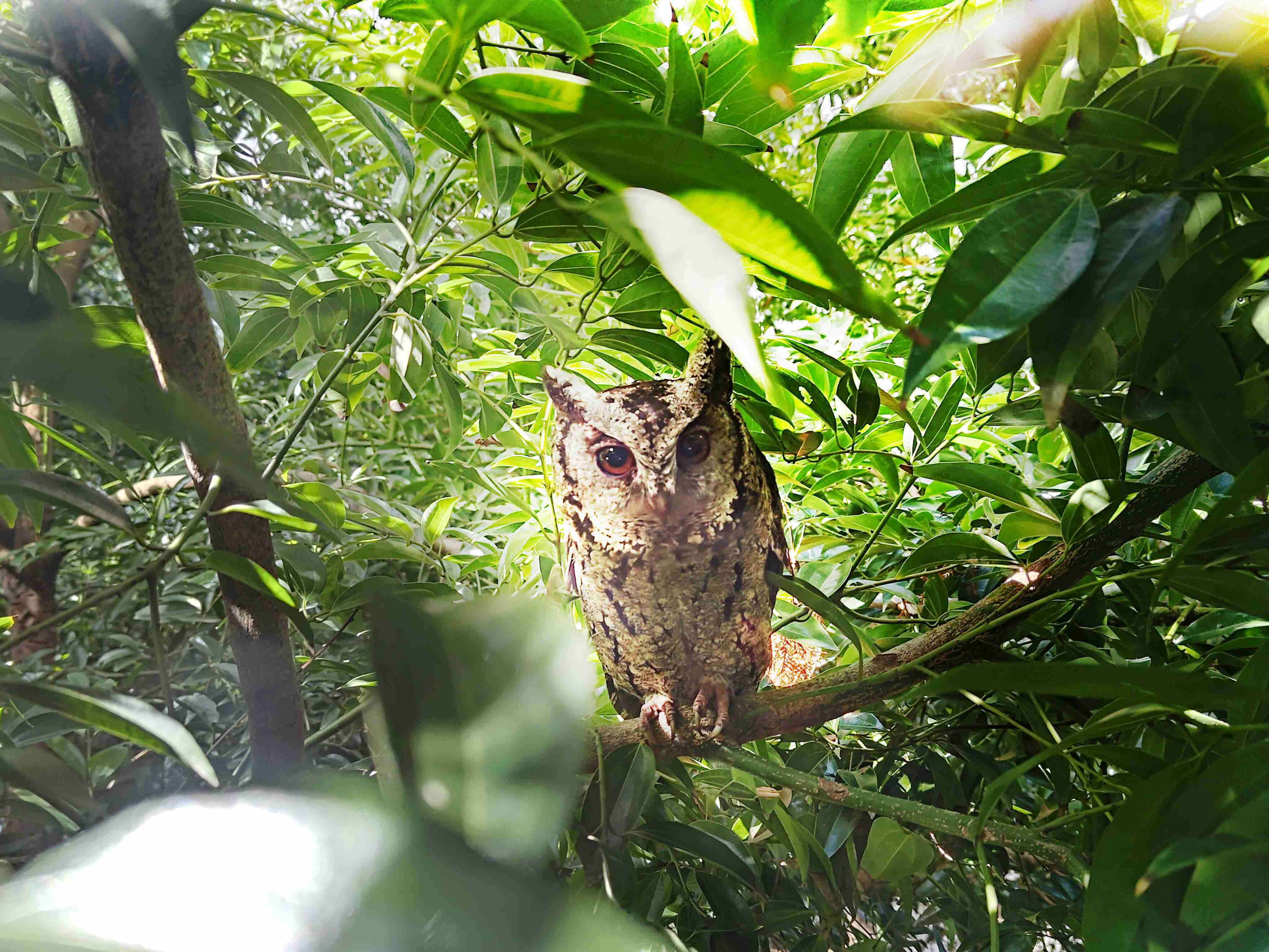 彩运网致力提倡净零绿生活，，16年以来在全球各厂区植树逾百万棵，，造就各厂区树木蔚然成林，，，犹如森林工厂，，，，成为许多生物的栖息地